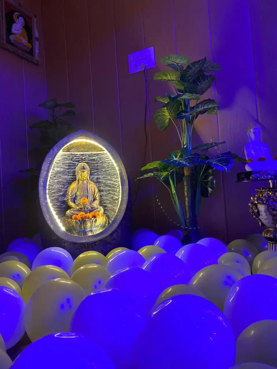 decoration in swan spa in lucknow